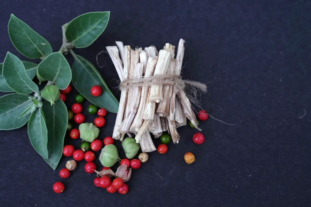 Ashwagandha – naturalne wsparcie w walce ze stresem i wyczerpaniem